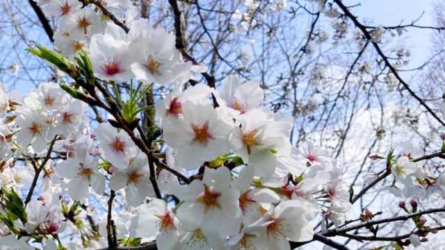 2025年度 入社式を開催しました